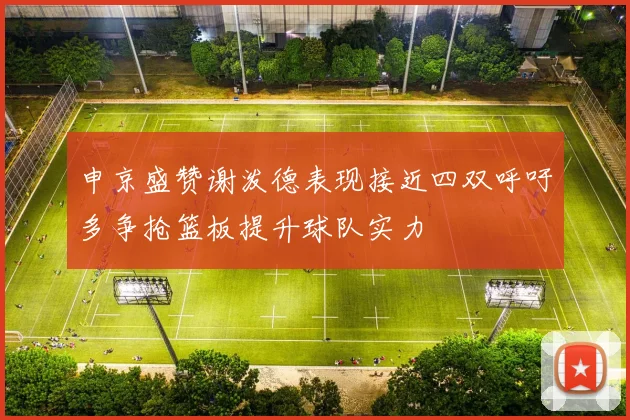 申京盛赞谢泼德表现接近四双呼吁多争抢篮板提升球队实力