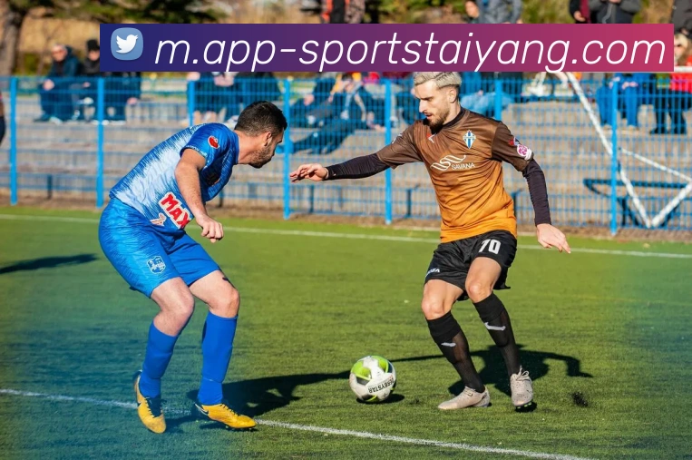 太阳城APP 体育赛事宣传图